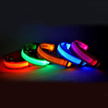 Luminous Collar Night Safety Flashing Glow in Dark Dog