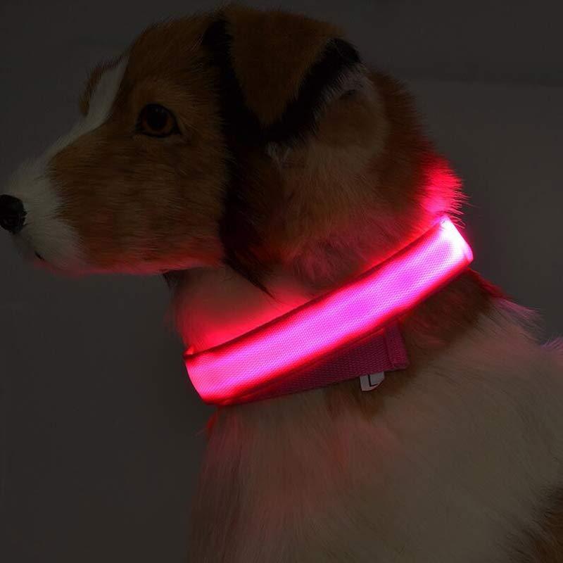 Luminous Collar Night Safety Flashing Glow in Dark Dog