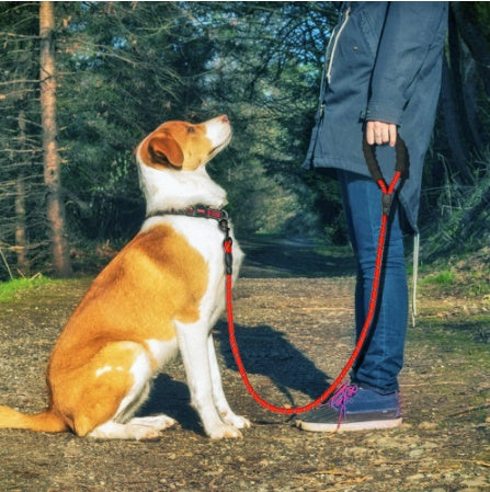 Nylon Pet Dog Leash Rope