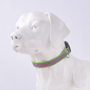 Custom Dog Collar with Name & Phone