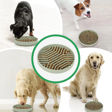 SlowBite Anti-Choking Slow Feeder Bowl - Silicone Mat for Dogs & Cats
