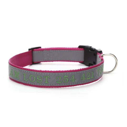Custom Dog Collar with Name & Phone