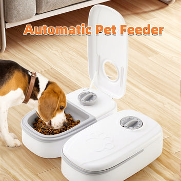 Smart Food Dispenser For Cats