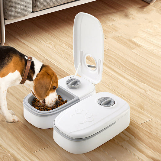 Smart Food Dispenser For Cats